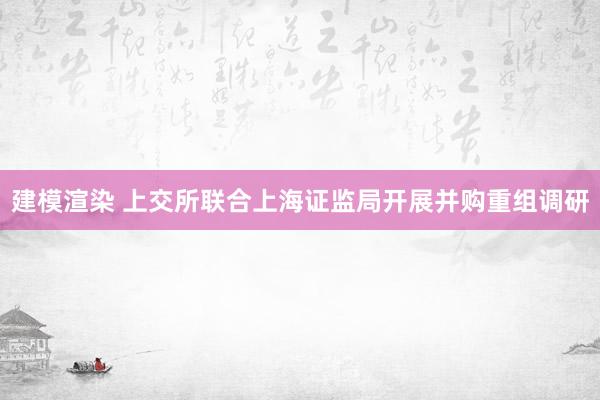 建模渲染 上交所联合上海证监局开展并购重组调研